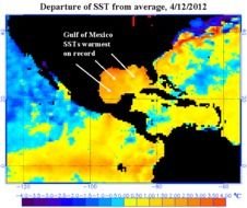 Gulf Of Mexico drawing