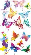 drawn multicolored tropical butterflies on a white background