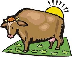 baby brown cow drawing