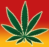 Cannabis Leaf Outline Pot &hearts; Pinterest