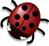 Red Lady Bug 2 Animal Download Vector Online