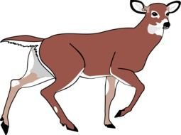 drawing of a brown deer on a black background