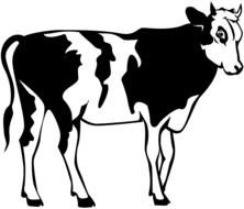nice Cow Black And White drawing