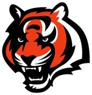 cincinnati bengals as a logo