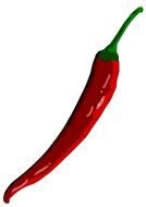 red hot pepper with green tail