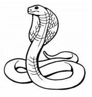 阅读技巧 ：键盘 &larr;左 右&rarr; 查看上一页 下一页，ctrl