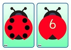 Matching Each Ladybird Has An Amount Of Spots On From 0 10