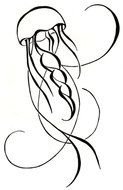 nice Jellyfish Drawing