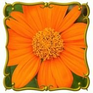 Get The Latest News From Dcradio