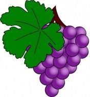 painted purple bunch of grapes and green leaf