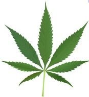 Welcome To Searchppcom N36