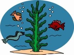 variety of fish as a picture for clipart