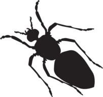 Black Ant Silhouette