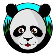 cute drawn panda face