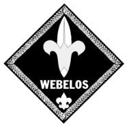 cub scout wolf badge