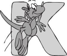 kangaroo near the letter k