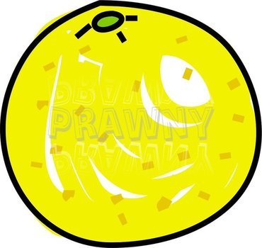 Grapefruit Food &ndash; Prawny Cartoons & Vintage