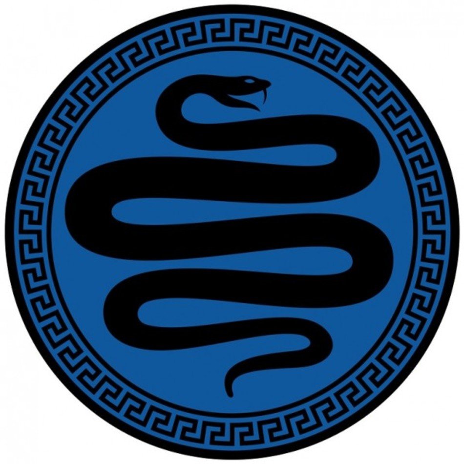 Army So Here Are The Logos For Rat Salamander Asp And Dragon