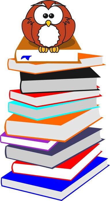 picture of an owl on stacks of books