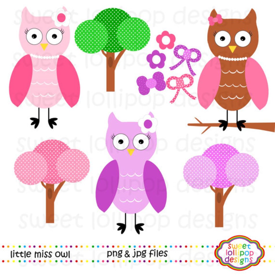 Miss Owl Digital