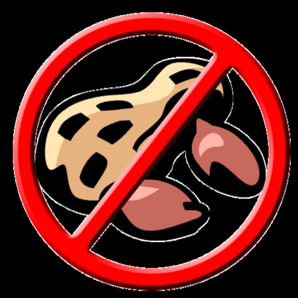 Allergies Modifications Are Made For All Children With
