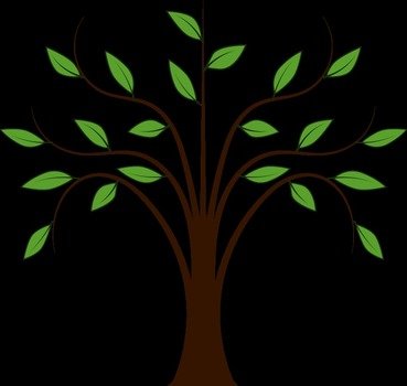 Whispy Tree drawing