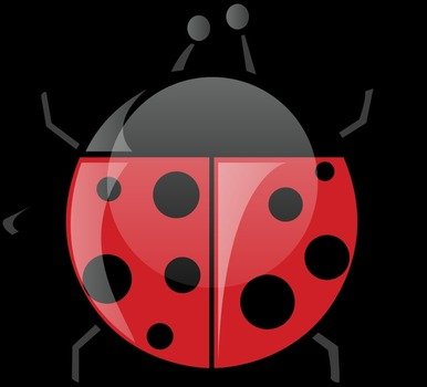 Ladybug Created For The Spring 2010 Package Release