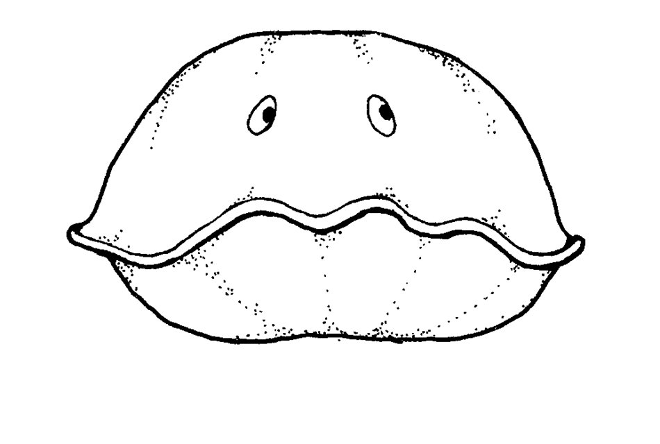 animated shell