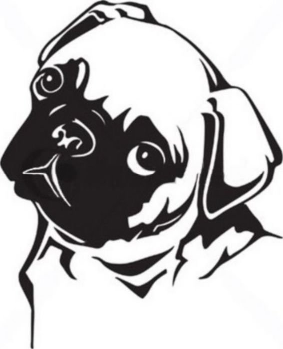 Clip art of cute pug
