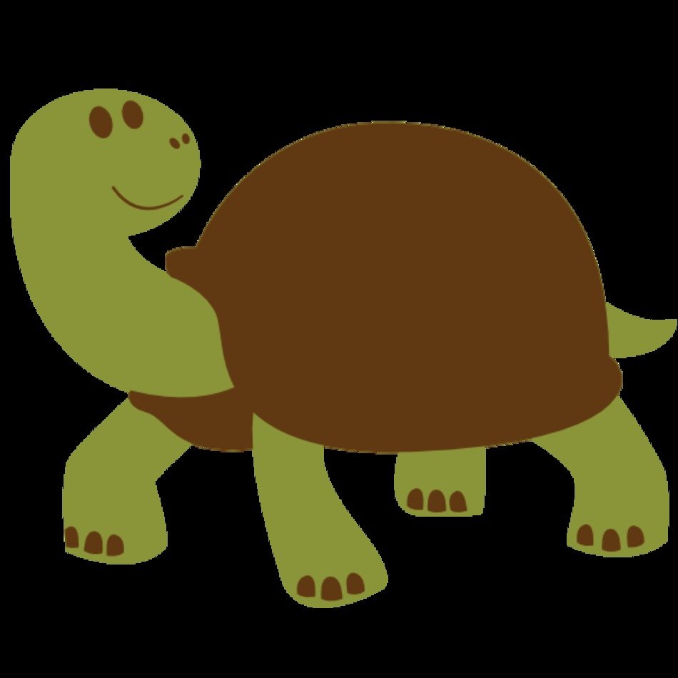 Animal turtle tortise scalable vector graphics svg free image download