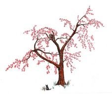 Cherry Tree and cat Drawing