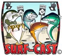 Red Drum Fish Vector Spanish Mackerel