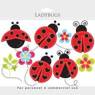 banner with varied ladybugs