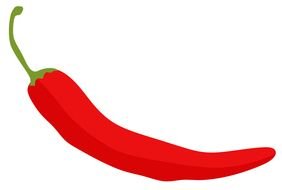 Related Chili Pepper drawing