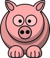 drawn pink pig