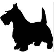Scottie Dog Scottish Terriers Pinterest