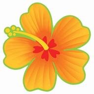 drawn yellow hibiscus flower