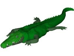 3d crocodile model
