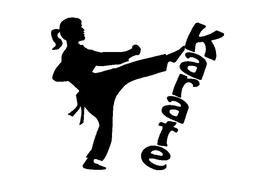 karate symbol on a white background