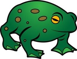 Amphibians Toad drawing