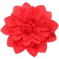 clipart of red Coral Flowers