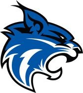 Wildcat Mascot drawing