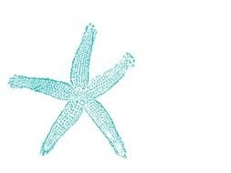 Sativas Blog Head Table And Dance Canopy This Black Pink Wedding