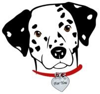 Site Design & Maintenance By Wepresent