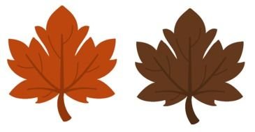 drawn dark orange and brown leaves on a white background