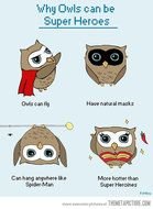 Funny Owls Talking Eyes Pics Images Quotes