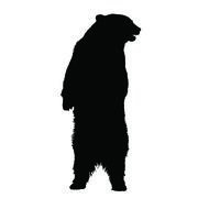 black silhouette of a bear on a white background