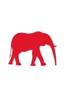 Red Elephant drawing
