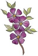 Violet Flowers on branch, drawing