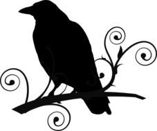 Crow On Branch drawing